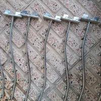 رگال تیله‌ ای