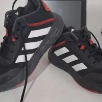 کفش والیبال اورجینال|کیف، کفش، کمربند|اسفراین, |دیوار