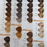 کاتالوگ پنتی و پادینا