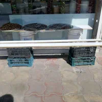 اجازه مغازه