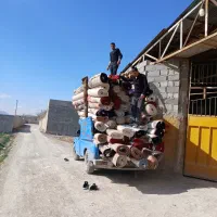 قالیشویی و مبل شویی قیطران فلاورجان|خدمات نظافت|اصفهان, قائمیه|دیوار