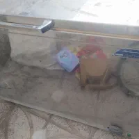 یخچال فریزر صندوقی|یخچال و فریزر|همدان, |دیوار