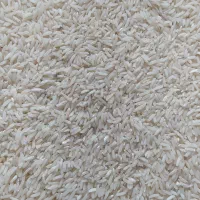 برنج طارم هاشمی