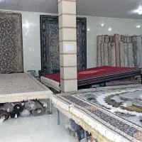 قصرفرش برازجان فرش جدید|فرش|بوشهر, |دیوار