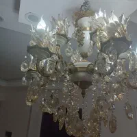 لوستر نو نو