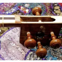 تار ساخته ی استاد جعفر قسمتی قدمت ۷ سال|سازهای سنتی|تهران, ونک|دیوار