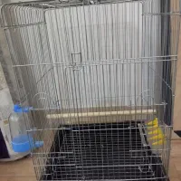 پارچه مخمل نو و لوازم نو|لباس|قزوین, |دیوار