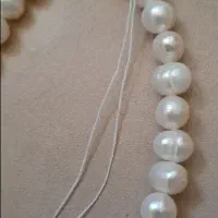 مروارید پرورشی