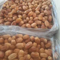 فروش خرما زاهدی|عمدهفروشی|میان جلگه, |دیوار