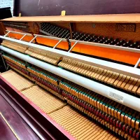 پیانو یانگ چانگ|پیانو، کیبورد، آکاردئون|کرج, شهر صنعتی|دیوار
