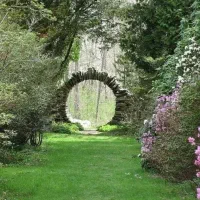 طراحی فضای سبز باغبانی گل گیاه کاشت اجرای مهندسی