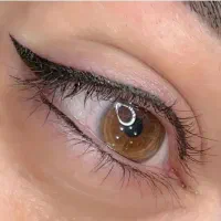 میکرو ابرو شیدینگ لب خط چشم|خدمات آرایشگری و زیبایی|قزوین, |دیوار