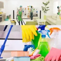 خدمات نظافت سرداری