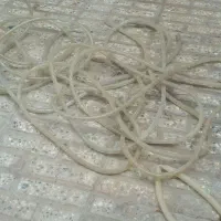 چراغ شلنگی متری