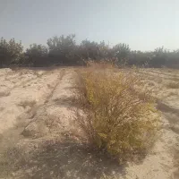 فروش زمین ۵۰۰ متری در ده‌حسن|فروش زمین و ملک کلنگی|رباط‌کریم, ده‌حسن|دیوار