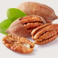 فروش نهال گردو پکان گردو گرمسیری آمریکایی|خدمات باغبانی و درختکاری|داراب, |دیوار