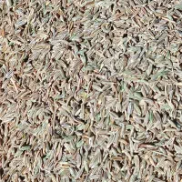 زیره سبز یا همون کراویه