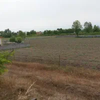 فروش زمین در لنگرود|فروش زمین و ملک کلنگی|رشت, چله خانه|دیوار