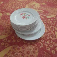 ظروف ملامین