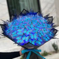 بوکت و باکس پروانه