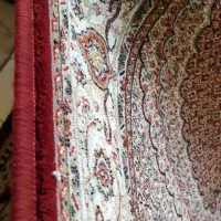 فرش کناره ریشه دار. ۵۰۰ شانه یک در چهار متر درحد