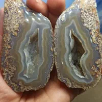 شجر کلکسیونی|جواهرات|سرایان, |دیوار