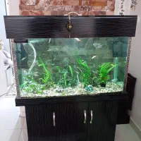 اکواریوم نو نو