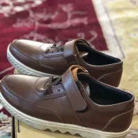 کفش|کیف، کفش، کمربند|کرج, مصباح|دیوار