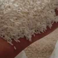 برنج|خوردنی و آشامیدنی|یزد, |دیوار