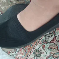 کفش نو|کیف، کفش، کمربند|مشهد, نظام دوست|دیوار