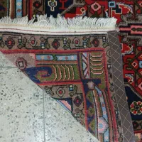 2عدد کلیایی بافت سنقر کردستان گوشتدار و زیبا|فرش|کرج, ساسانی (قلمستان)|دیوار