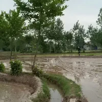 زمین-500متری-آماده-جواز-ساخت