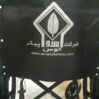 ویلچر نوی نو