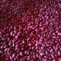 مرکز پخش انواع حبوبات و برنج و خشکبار|خوردنی و آشامیدنی|اصفهان, شفق|دیوار