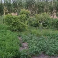 ویلایی در سرعین روستای ورگسران