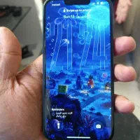 13 نرمال پلم باریجستر