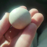 سنگهای بسیار زیبا وجذاب همراه شهاب سنگ|جواهرات|تهران, اکباتان|دیوار