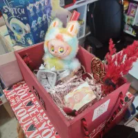 کادو برای هر سن و سلیقه‌ با نازلترین قیمت|حراج|سنندج, |دیوار