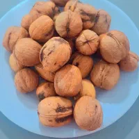 گردو|خوردنی و آشامیدنی|یاسوج, |دیوار