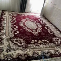 فرش ۱۲متری|فرش|رومشکان, |دیوار