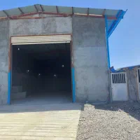 فروش مرغداری ۳۰ هزاری تمام اتوماتیک|فروش دفتر صنعتی، کشاورزی، تجاری|میناب, |دیوار