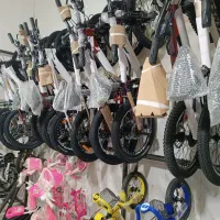 دوچرخه شرایطی