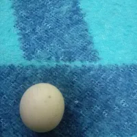 سنگ الماس آسیاب