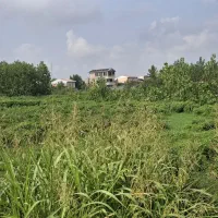 فروش زمین ۱۲۹۰ متری|فروش زمین و ملک کلنگی|رشت, پستک|دیوار
