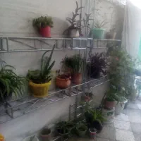 فروش عمده گلدون به دلیل جابجایی خونه