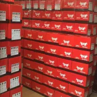 ۵۵ یاک آمپر اتمی باضمانت ۲۴ ماهه اقساطی چک صیادی