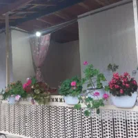 ویلا آفتاب گردان با فاصله ۲۰دقیقه ای تا اولسبلنگاه|اجارهٔ کوتاه‌مدت آپارتمان و سوئیت|ماسال, |دیوار