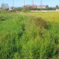 فروش زمین زراعی و مسکونی جاده فخب وخیابان عرفان ۱|فروش زمین و ملک کلنگی|پیربازار, |دیوار
