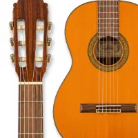 گیتار آکوستیک آریا aria ak30