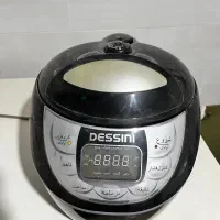 زودپز برقی دسینی